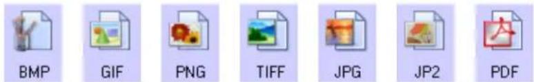 BMP GIF PNG TIFF JPG JP2 PDF