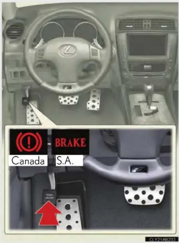 BRAKE Canada U.S.A. PISA ONION