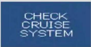 CHECK CRUISE SYSTEM