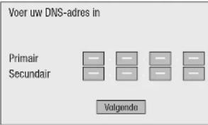 Voer uw DNS-adres in Primair Secundair Volgende
