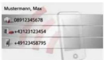 Mustermann, Max 08912345678 +43123123454 +49123458795