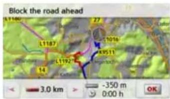 Block the road ahead L1180 L1187 L1192 3.0 km -350 m 0:00 h OK
