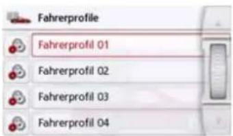 Fahrerprofile Fahrerprofil 01 Fahrerprofil 02 Fahrerprofil 03 Fahrerprofil 04