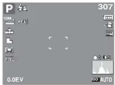 P 10M AVB 0.0EV 307 ISO AUTO