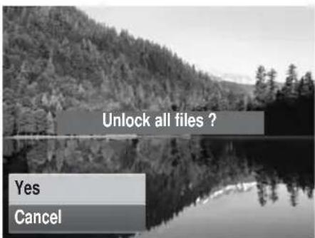Unlock all files ? Yes Cancel