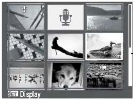AGFA AP Compact 100 - Viewing thumbnails - 1
