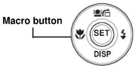 Macro button SET DISP