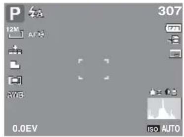 P 12M AF8 AVB 0.0EV 307 ISO AUTO