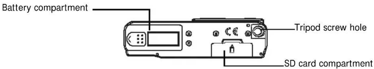 Battery compartment Tripod screw hole SD card compartment