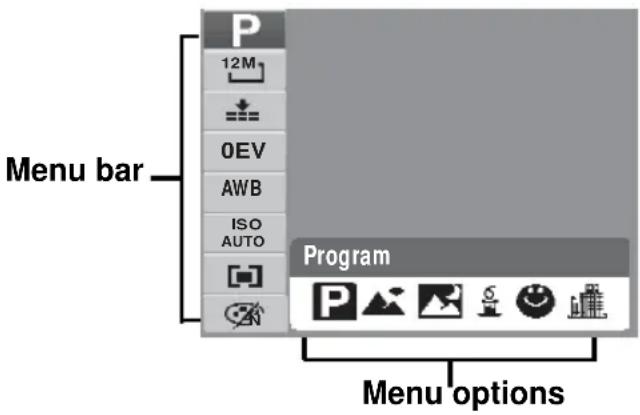 Menu bar 12M OEV AWB ISO AUTO Program Menu options