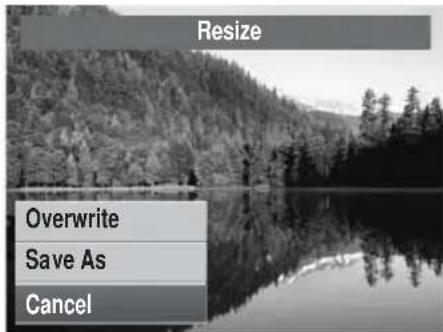 Resize Overwrite Save As Cancel