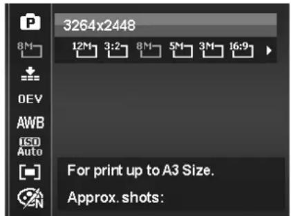 3264x2448 12M 3:2 8M 5M 3M 16:9 For print up to A3 Size. Approx. shots: