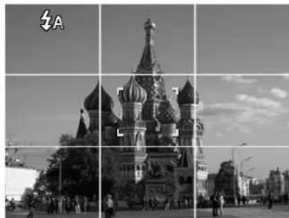 AGFA AP Optima 103 - Using Pre-composition Mode - 1