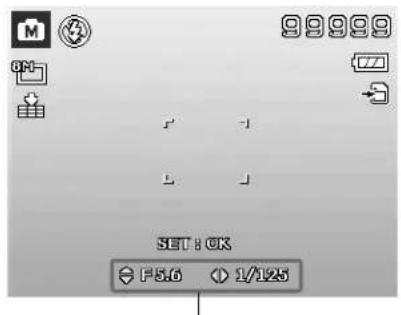 SET : OK F5.0 1/125