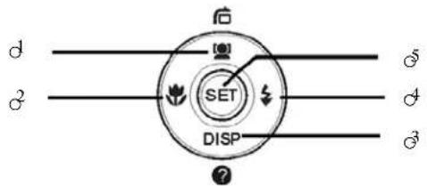 d φ d' SET DISP φ φ'