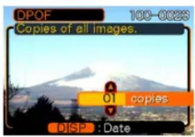 DPOF 100-0028 Copies of all images. 01 copies DISP : Date