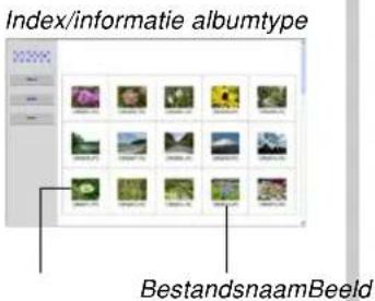 Index/informatie albumtype BestandsnaamBeeld