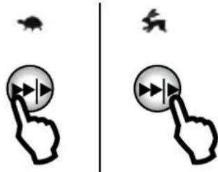 Diagram showing two hand gestures with triangular play buttons, each pointing at a button with an arrow icon, alongside a small bird and a bird flying nearby.