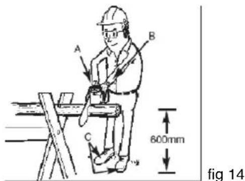 A B C 600mm fig 14