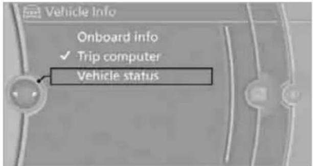 Vehicle Info Onboard info ✓ Trip computer Vehicle status