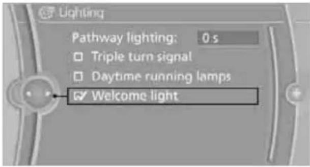 Lighting Pathway lighting: 0 s Triple turn signal Daytime running lamps ✓ Welcome light