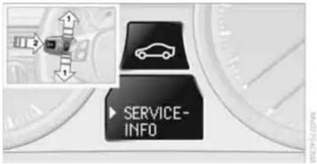 SERVICE INFO