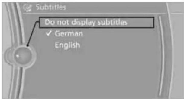 Subtitles Do not display subtitles ✓ German English
