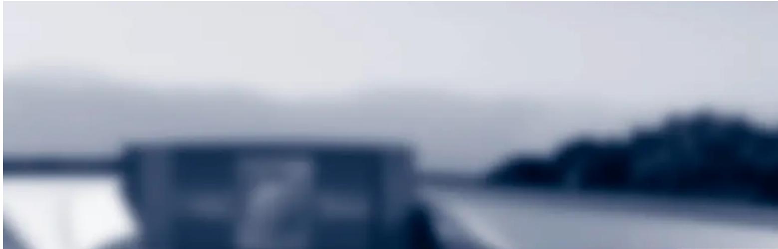 Blurred outdoor scene with indistinct dark shapes and no visible text or symbols