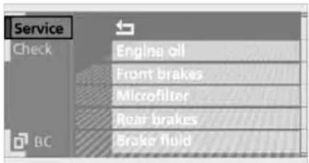 Service Check Engine oil Front brakes Microfilter Rear brakes Brake fluid