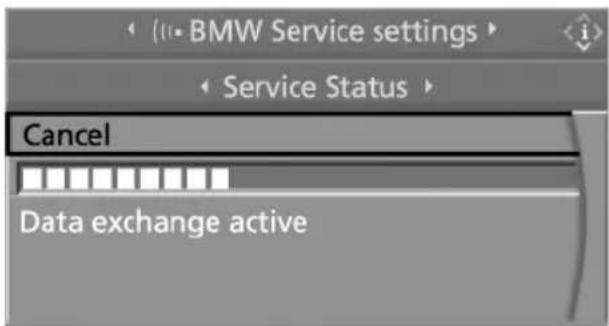 (1) BMW Service settings Service Status Cancel Data exchange active