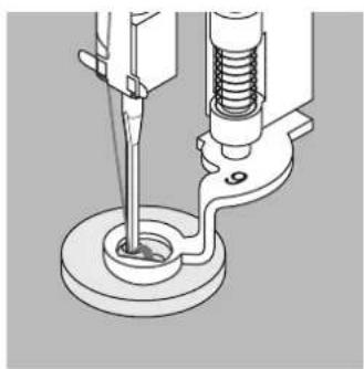 BERNINA Activa 135 - Knöpfe annähen - 1