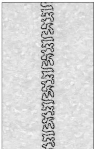 3157272431253125310 3157272431253125310