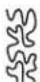 BERNINA Activa 240 - Stipplingstich - 1