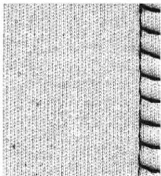 BERNINA Aurora 430 - Stretch-Overlocknaht - 1
