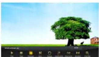MEGASAT Mediabox Media - Movies - 1