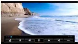MEGASAT Mediabox Media - Movies - 2