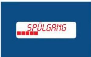 SPÜLGRANG