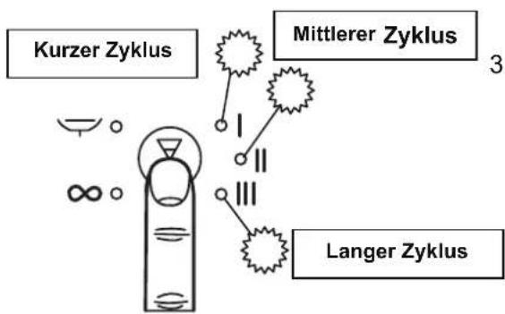 Kurzer Zyklus Mittlerer Zyklus Langer Zyklus