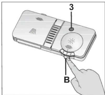 3 B