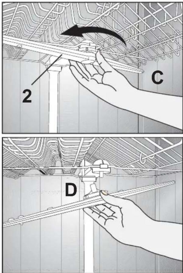C 2 D