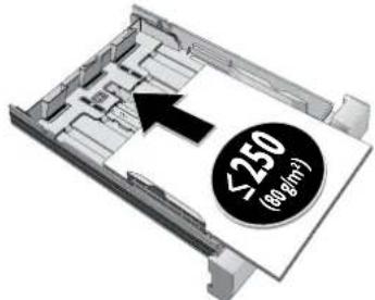 <250 (60.8m²)