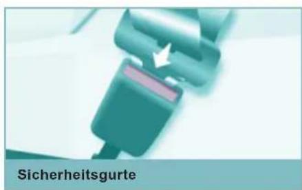 Sicherheitsgurte