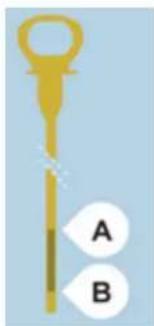 A B