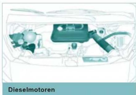 PEUGEOT Expert (2011) - Heckflügeltüren - 7