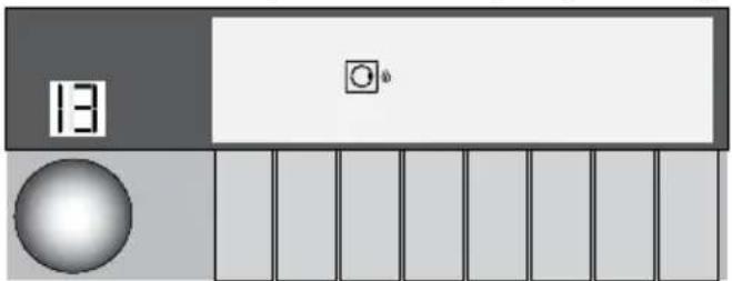 13