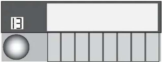 13