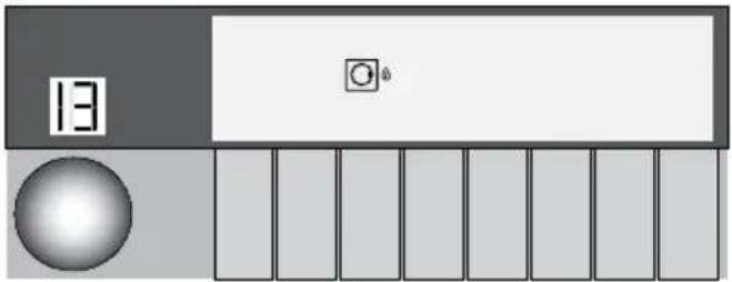 13