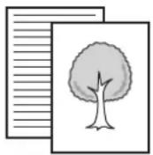 SHARP MX-B382SC - AUTOMATISCHES SCANNEN BEIDER SEITEN EINES ORIGINALS (2-seitiges Original) - 3