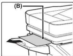 (B)