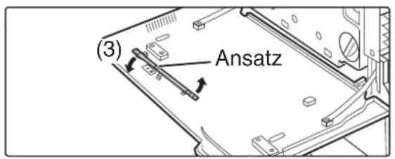 (3) Ansatz